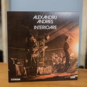 VINIL ALEXANDRU ANDRIES - INTERIOARE