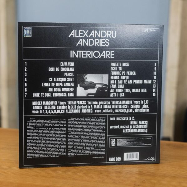 VINIL ALEXANDRU ANDRIES - INTERIOARE - Image 2